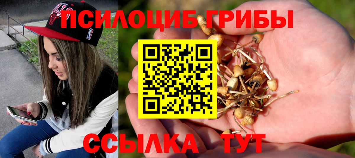 Галлюциногенные грибы мухоморы Сальск